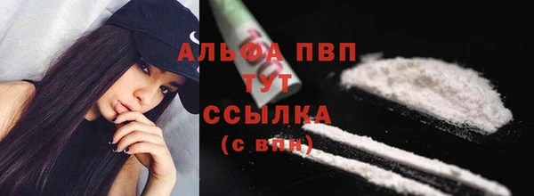 индика Кострома