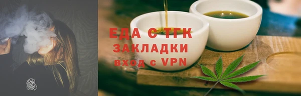 индика Кострома