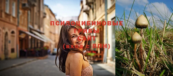 MESCALINE Мегион