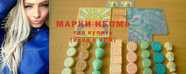индика Кострома