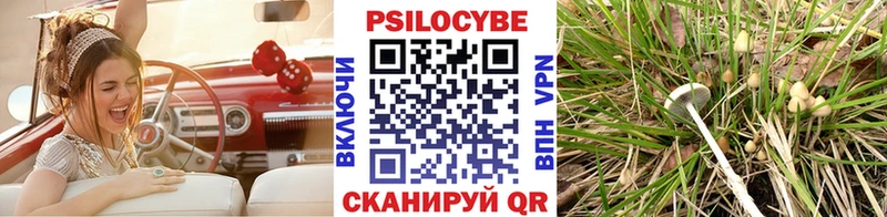 omg маркетплейс Новомичуринск Псилоцибиновые грибы MAGIC MUSHROOMS